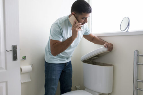 Toilet repair in Layton, UT